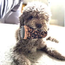 Load image into Gallery viewer, Amaricano Amaro Dog Lovers Kit